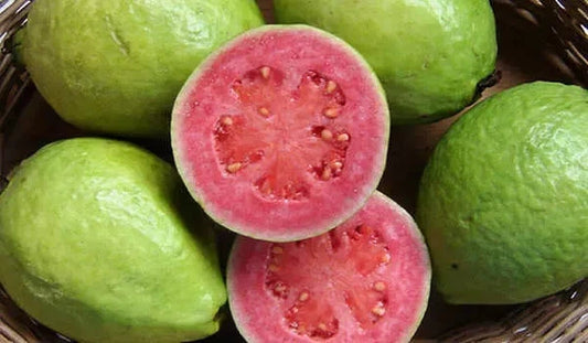 250+ Red Kencana Guava Seeds (Psidium guajava Pink Fleshed / Premium Indonesian Sweet Guava) – Premium Exotic Fruit Tree & Orchard Seeds for Planting