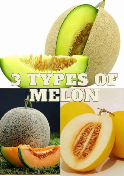 Melon Seeds 15+ pcs Bundle (Cucumis melo) – 5-Cultivar Garden Package Premium Certified Sweet Fruit Plant Seeds for Planting