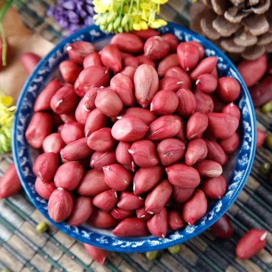 Red Peanut Seeds (Arachis hypogaea) – 1.000+ Premium Heirloom Red Valencia Groundnut Seeds for Planting
