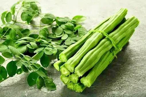 200+ Grams Moringa Seeds (Moringa oleifera / Drumstick Tree / Miracle Tree) – Premium Agricultural Crop & Superfood Plant Seeds for Planting