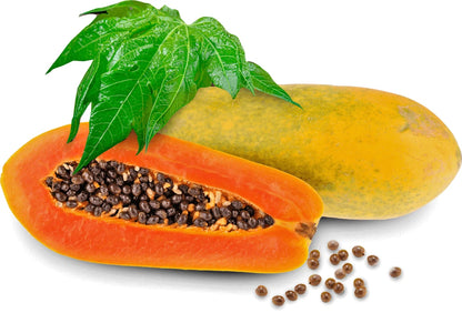Big Formosa Papaya (Carica papaya) – 1,000+ Premium Seeds