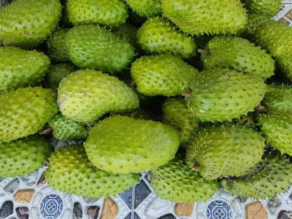 Soursop (Annona muricata) – 100+ Premium Seeds