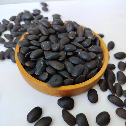 Indian Trumpet Tree Seeds (Parkia timoriana / 50+ Rare Tropical Forest Tree Seeds) – Premium Exotic Botanical Specimen Plant Seeds for Planting