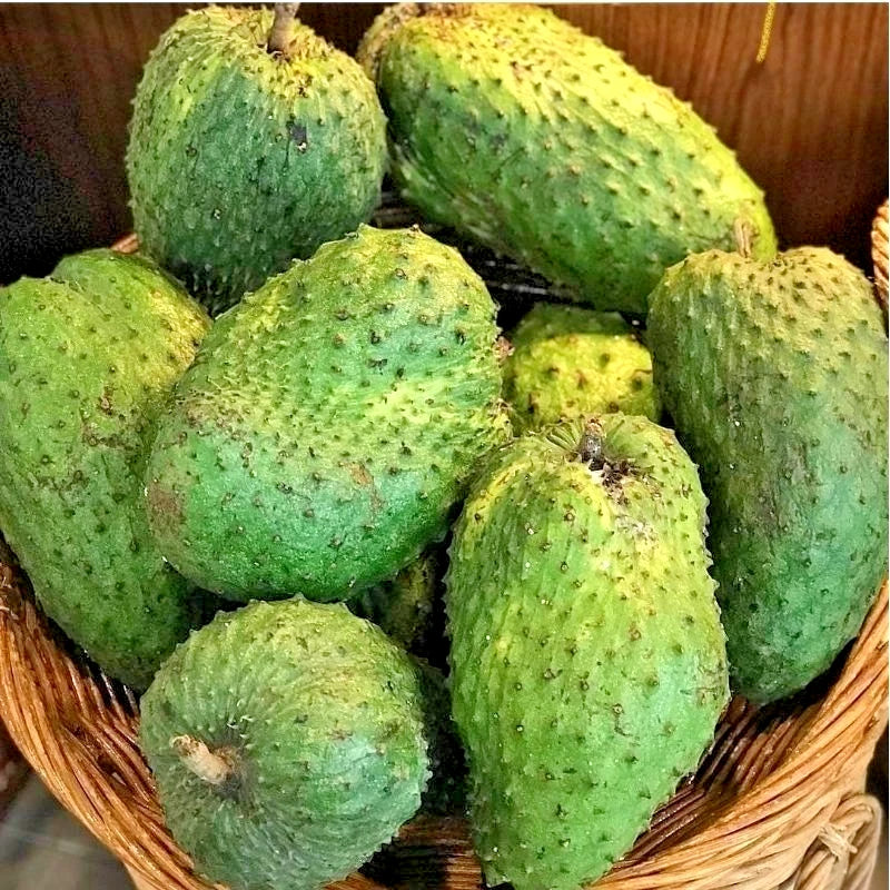 Honey Soursop Seeds (Annona muricata / 100+ Premium Sweet Brazilian Graviola Guanabana Fruit Seeds) – Premium Exotic Botanical Specimen Plant Seeds for Planting
