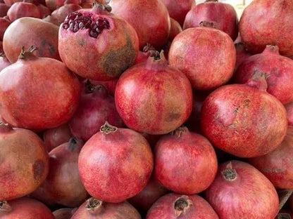 Premium Afghan Pomegranate Seeds (Punica granatum) – Heirloom Middle Eastern Exotic Fruit Seeds for Planting (100+ Pcs)