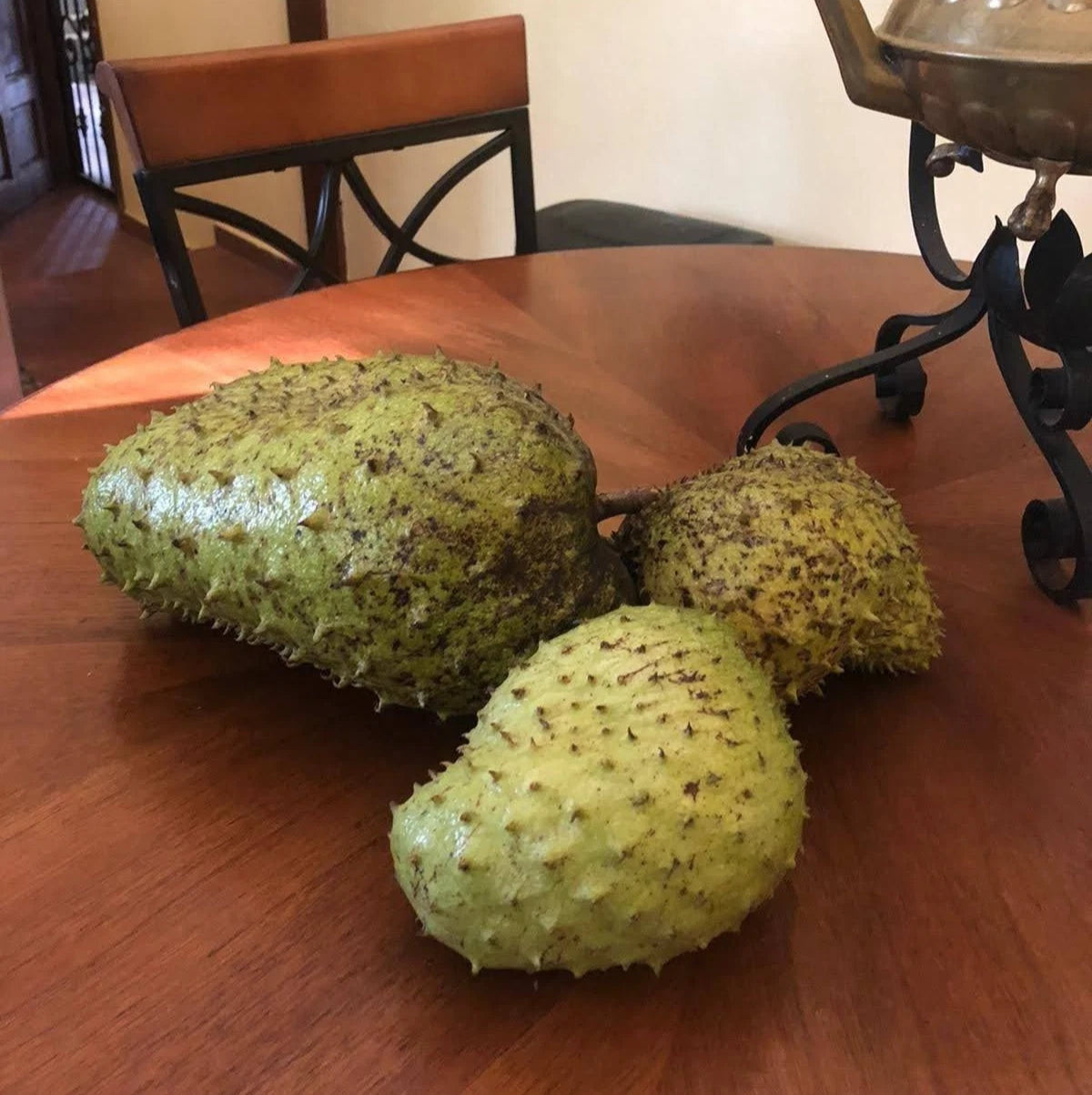 100+ Arusha Soursop Seeds (Annona muricata) – Elite 'Sweet Arusha' Genetic Stock (Collectors Quality)