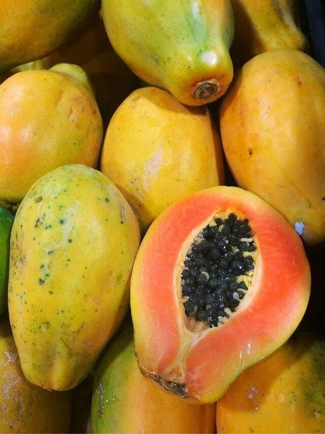 Extra Sweet Canary Papaya Seeds (Carica papaya) – High-Yield Tropical Fruit Seeds for Planting