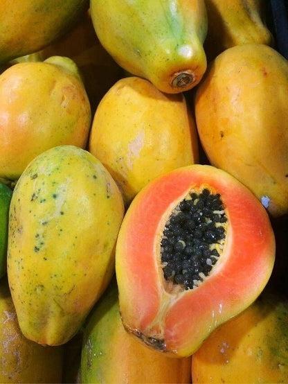 Extra Sweet Canary Papaya Seeds (Carica papaya) – High-Yield Tropical Fruit Seeds for Planting