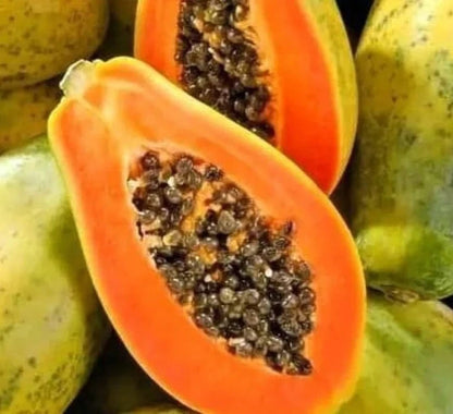 Meoslaen Papaya Seeds (Carica papaya 'Meoslaen') – 150 pcs Premium Fresh Rare Sweet Island Papaya Seeds for Planting