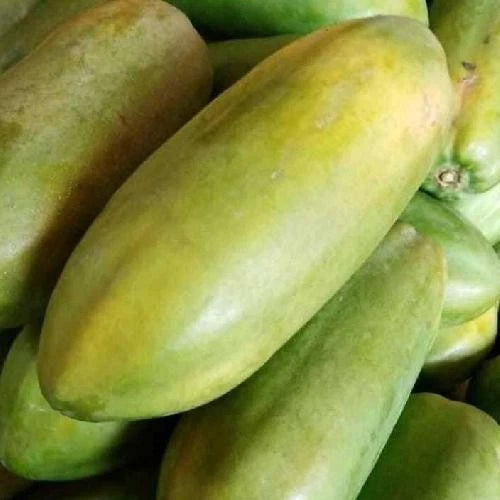California Papaya Seeds (Carica papaya 'California') – 150+ Premium Fresh Sweet Uniform California Papaya Seeds
