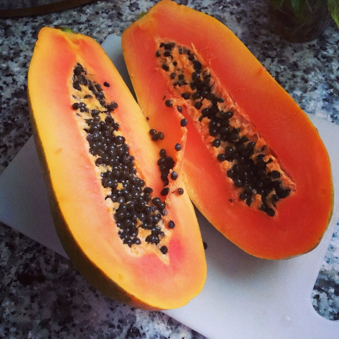 Red Paris Papaya Seeds (Carica papaya 'Red Paris') – Premium Fresh Rare Sweet Red Paris Papaya Seeds