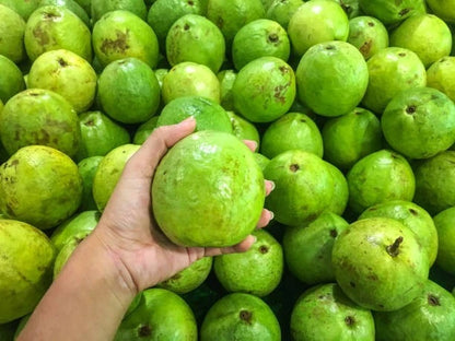 Getas Red Guava Seeds (Psidium guajava / 1000+ Fresh Tropical Fruit Tree Seeds) – Premium Exotic Botanical Specimen Plant Seeds for Planting