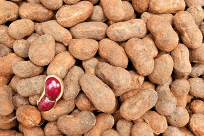 1.000+ Bambara Groundnut Seeds (Vigna subterranea) - Premium Resilient Legume Seeds for Planting