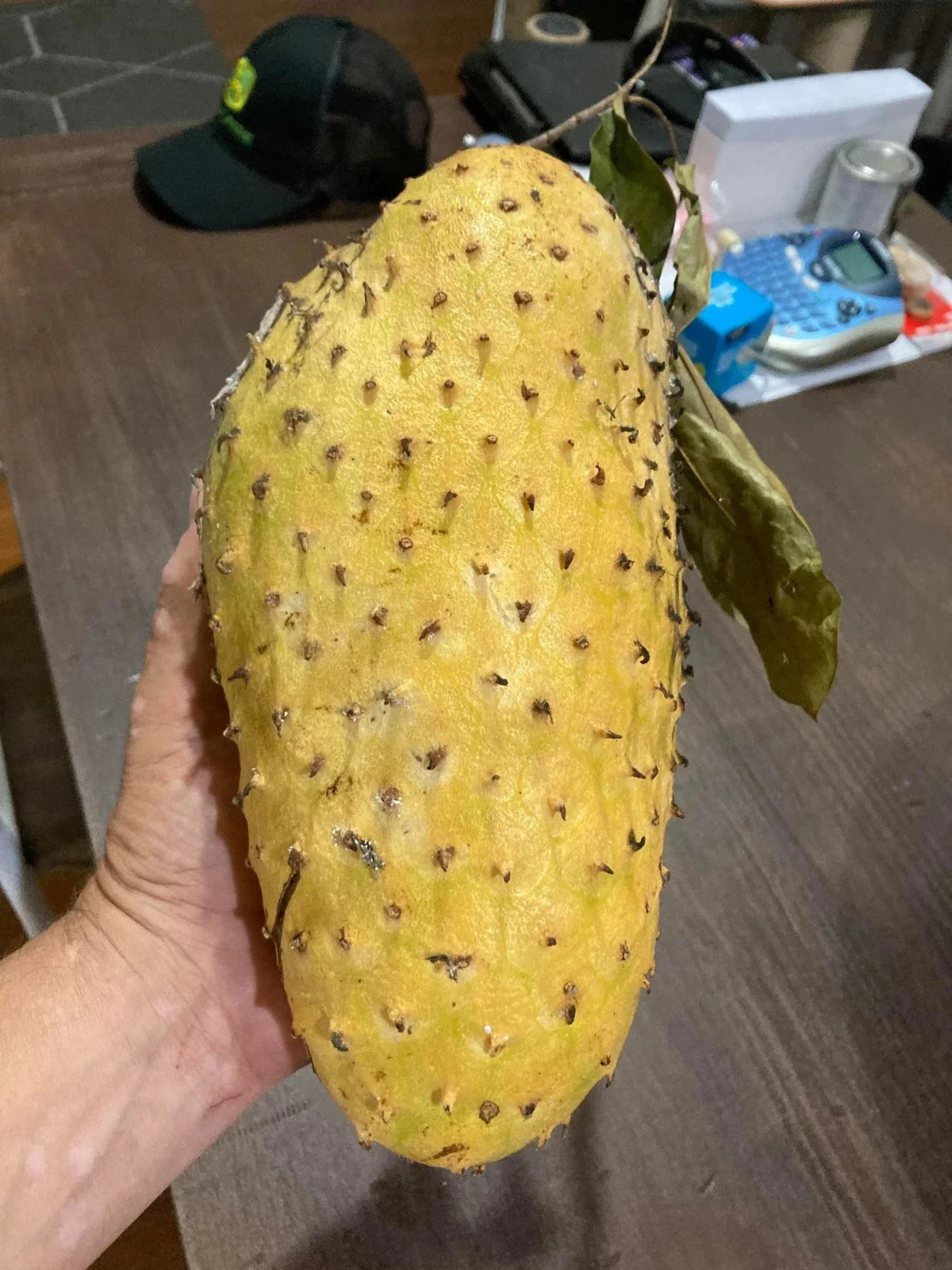 Golden Soursop Seeds (Annona muricata var. Golden) – Premium Sweet Graviola Custard Apple Tropical Fruit Tree Seeds for Planting (100 Pcs)