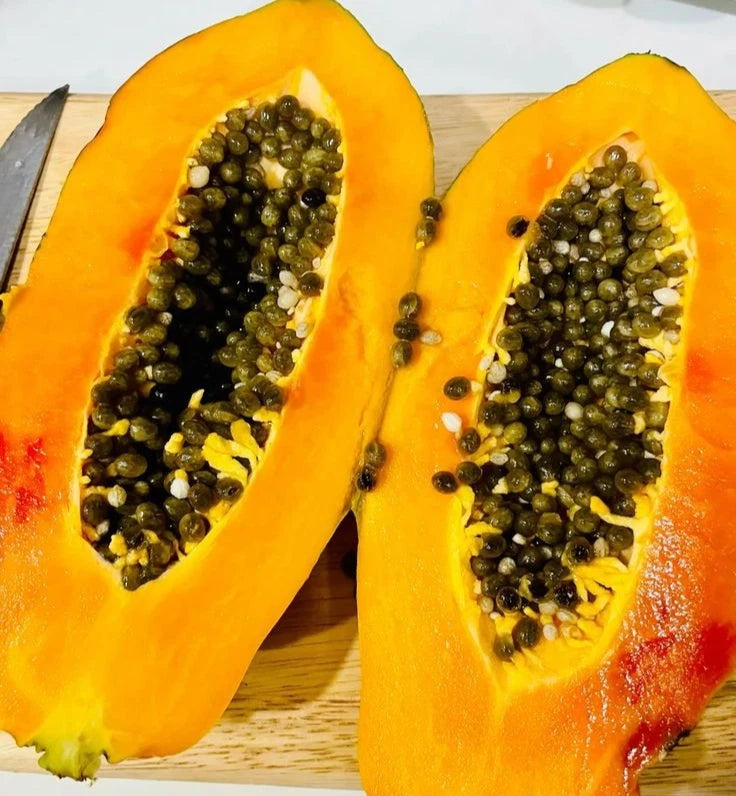 Red Arjuna Papaya Seeds (Carica papaya 'Red Arjuna') – 150+ Premium Fresh Sweet F1 Hybrid Red Arjuna Papaya Seeds