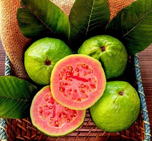 250+ Red Titi Guava Seeds (Psidium guajava Pink Fleshed / Sweet Tropical Guava) – Premium Exotic Fruit Tree & Orchard Seeds for Planting