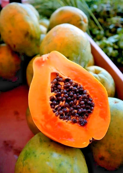 Solo Hawaiian Papaya (Carica papaya) – 1,000+ Premium Seeds