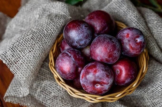 Plum (Prunus domestica) – 15+ Fresh Premium Seeds
