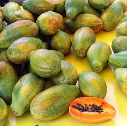 Premium Rainbow Hawaii Papaya Seeds (Carica papaya 'Rainbow') – Fresh Rare Exotic Genetically Enhanced Disease-Resistant Sweet Golden Papaya Seeds for Planting