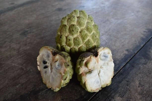 Sugar Apple (Annona squamosa) – 100+ Premium Seeds