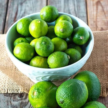 Persian Lime (Citrus latifolia) – 100+ Premium Seeds (Tahiti Lime)