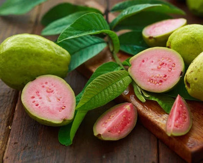 Superior Red Guava Seeds (Psidium guajava) – Premium Certified Tropical Fruit Tree Seeds for Planting