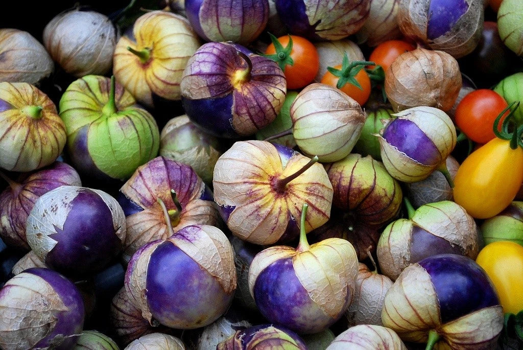 Bulk Purple Groundcherry Ciplukan Seeds (Physalis ixocarpa var. purple) – 250+ Premium Fresh Rare Exotic Sweet Purple Tomatillo Seeds for Planting