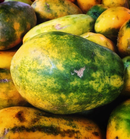 Premium Arum Bogor Variety Papaya Seeds (Carica papaya var. Arum Bogor) – Sweet Red Flesh Tropical Fruit Tree Seeds for Planting (150+ Pcs)