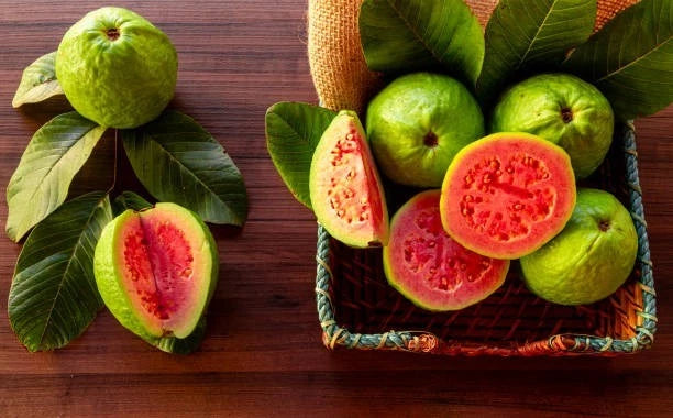 Red Guava Seeds (Psidium guajava) – Premium Certified High-Yield Sweet Tropical Fruit Tree Seeds for Planting (50+ Pcs)