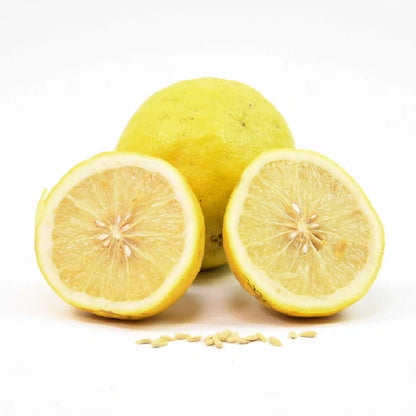 100++ Ponderosa Lemon Seeds (Citrus limon) – Premium Quality