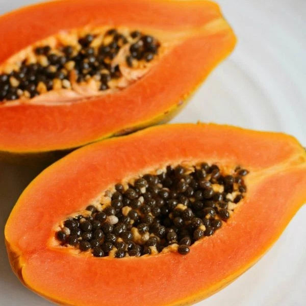 Red Waimanalo Papaya Seeds (Carica papaya 'Red Waimanalo') – 150+ Premium Fresh Rare Sweet Red Waimanalo Papaya Seeds