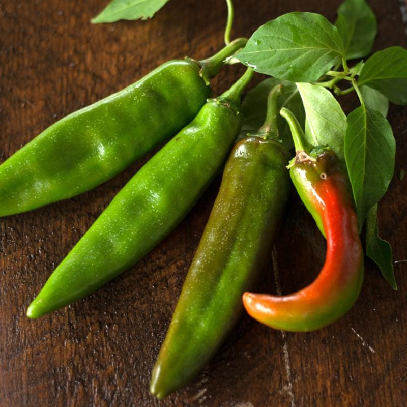 Anaheim Hot Pepper 30 Seeds For Planting