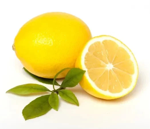 100++ Meyer Lemon Seeds (Citrus × meyeri) – Premium Quality