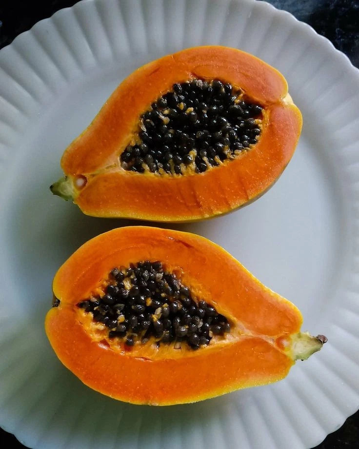 Diamond Head Papaya Seeds (Carica papaya var. Diamond Head) – Premium Sweet Red-Fleshed Tropical Fruit Tree Seeds for Planting (150 Pcs)