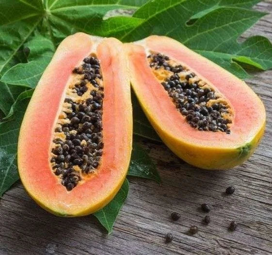 Callina Papaya Seeds (Carica papaya 'Callina') – 150+ Premium Fresh Sweet Uniform Callina Papaya Seeds