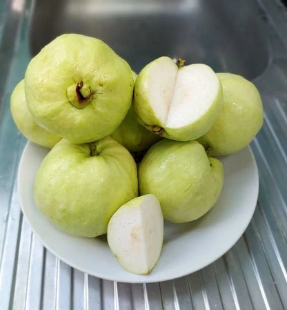 White Crystal Guava Seeds (Psidium guajava) – Premium Certified Tropical Fruit Tree Seeds for Planting