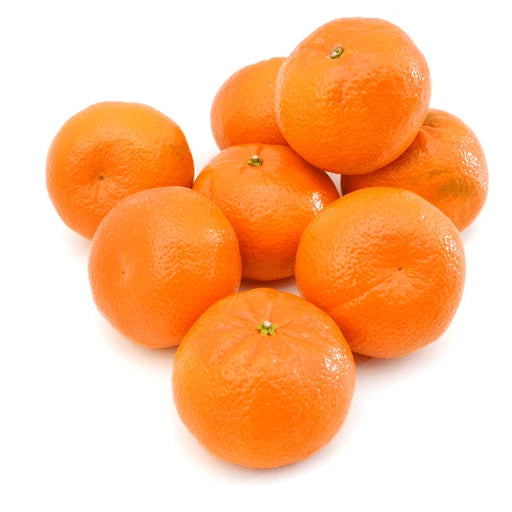 100++ Fairchild Tangerine Seeds (Citrus reticulata var. Fairchild) – Premium Quality