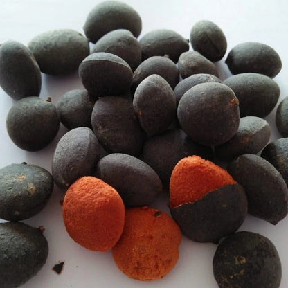 Velvet Tamarind Seeds (Dialium indum / 30+ Rare Exotic Tropical Fruit Tree Seeds) – Premium Botanical Specimen Plant Seeds for Planting