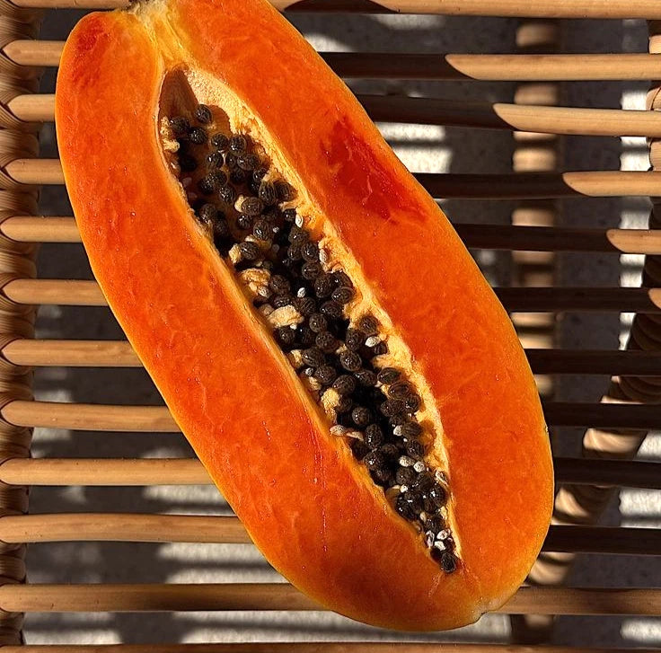 Red Paris Papaya Seeds (Carica papaya) – 150 Premium High-Yielding Elongated Sweet Red Papaya Seeds