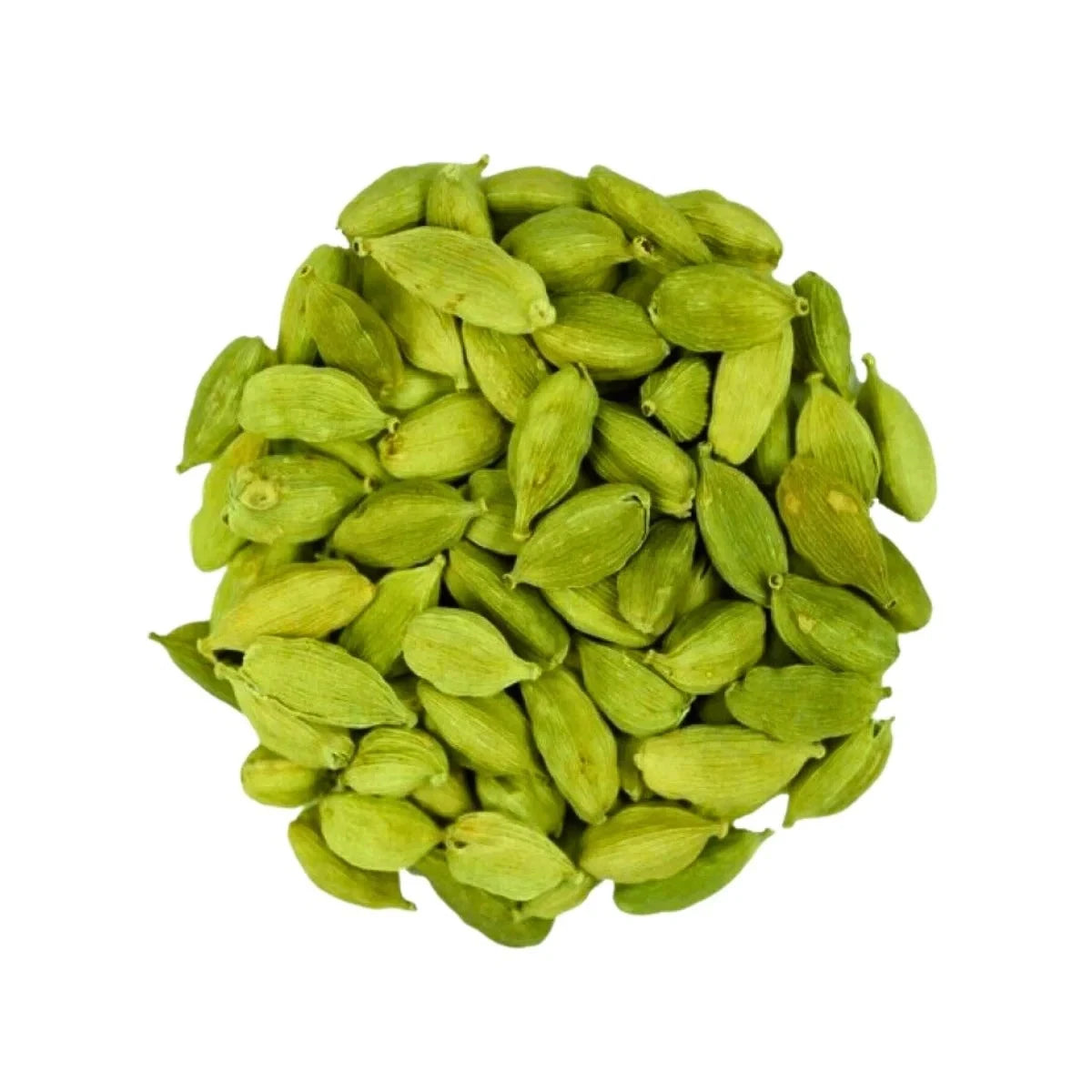 Green Cardamom Seeds (150+ Bulk Seeds, Elettaria cardamomum) – Organic True Cardamom Spice Plant Seeds for Planting
