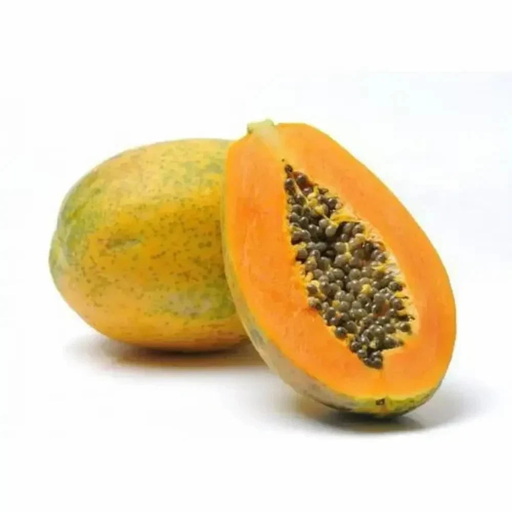1,000+ Dwarf India Pusa Papaya Seeds (Carica papaya) – Premium Certified High-Yield Sweet Pusa Dwarf Papaya Fruit Tree Plant Seeds for Planting