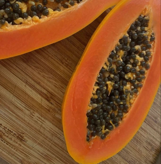 Red Maradona Papaya Seeds (Carica papaya 'Red Maradona') – Premium Fresh Rare Sweet Red Maradona Papaya Seeds for Planting