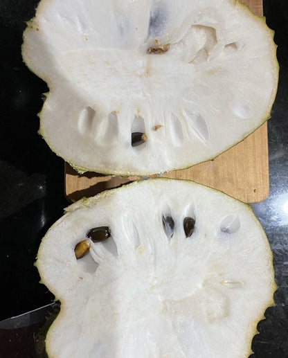 Bali Soursop Seeds (Annona muricata) – Premium Certified High-Yield Guanabana Graviola Fruit Tree Plant Seeds for Planting (100 Pcs)
