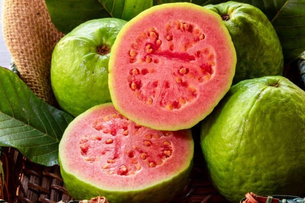 Red Guava Seeds (Psidium guajava) – Premium Certified High-Yield Sweet Tropical Fruit Tree Seeds for Planting (50+ Pcs)