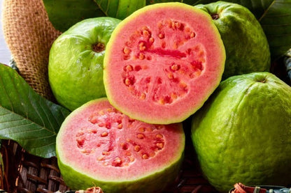 Red Guava Seeds (Psidium guajava) – Premium Certified High-Yield Sweet Tropical Fruit Tree Seeds for Planting (50+ Pcs)