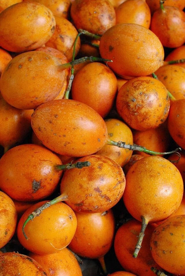 Konyal Sweet Granadilla (Passiflora ligularis) – 1,000+ Premium Seeds