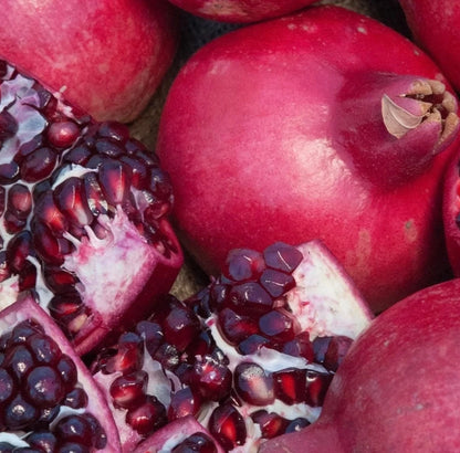 Red Silk Pomegranate Seeds (Punica granatum) – 100 Premium Sweet Grenadine Seeds