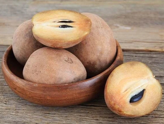 Premium Manila Sapodilla Seeds (Manilkara zapota var. Manila) – Exotic Sweet Chico Zapote Fruit Seeds for Planting (35 Pcs)