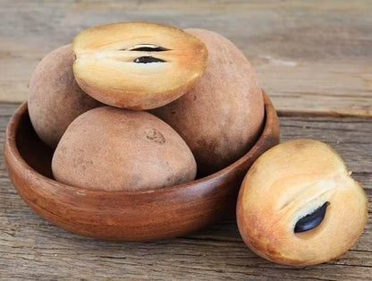 Premium Manila Sapodilla Seeds (Manilkara zapota var. Manila) – Exotic Sweet Chico Zapote Fruit Seeds for Planting (35 Pcs)