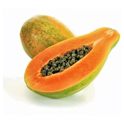 Dwarf Tainung Papaya (Carica papaya) – 1,000+ Premium Seeds